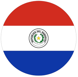 Flag Icon